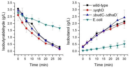 Isobutanol production with isobutyraldehyde as substrate by alcohol dehydrogenases disrupted strains of K. pneumoniae. Wild-type K. pneumoniae (filled square); ÄyqhD: K. pneumoniae ÄyqhD (filled circle); ÄbudC-ÄdhaD: K. pneumoniae ÄbudC-ÄdhaD (filled triangle); E. coli: E. coli BW25113 (filled inverted triangle). Isobutyraldehydeadd time is set as 0 min in this figure