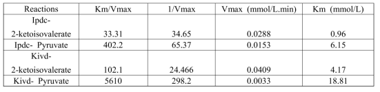 Km and Vmax values of Ipdc and Kivd with 2-ketoisovalerate and pyruvate as substrate