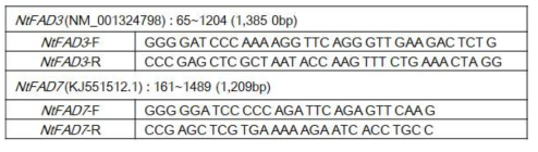 담배 FAD3, FAD7 유전자 분리용 PCR primer 정보