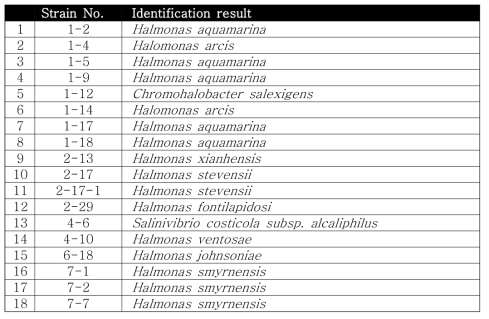 분리된 균주의 16S rRNA 유전자 분석을 통한 동정 결과