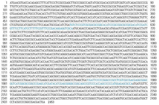 Hs7-2 균주로부터 확보된 ectABC 유전자 염기서열