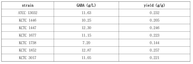 균주에 따른 가바 생산