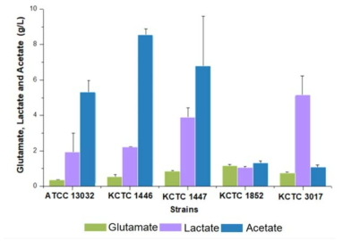 Glutamate production of different C. glutamicum strains after 120 h of flask culture. Concentrations of glutamate, lactate and acetate is shown