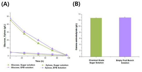 Time profile of carbon utilization (A) and GABA production (B) of recombinant C. glutamicum KCTC 1852 expressing glutamate decarboxylase, xylose isomerase and xylulose kinase under strong H36 promoter in shake flask culture set-up with EFB solution and chemical grade sugars with ratio of 45 g/L glucose and 5 g/L xylose after 120 h. Legend: EFB Solution (Glucose -▲, Xylose - ■) ; Chemical grade sugar solution (Glucose -▲, Xylose - ■)