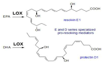 Lipoxygenase 효소의 다중불포화지방산 수산화 촉매 반응