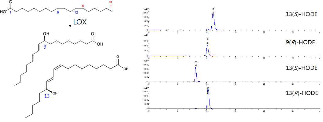 Lipoxygenase에 의한 linoleic acid 수산화 반응산물 분석