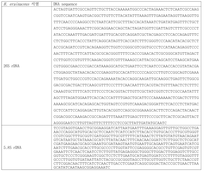 H. erinaceus의 26S ribosomal DNA 및 5.8S ribosomal DNA 서열