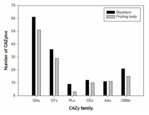 노루궁뎅이 버섯의 균사체와 자실체에서의 CAZyme 그룹의 다양성 비교 분석