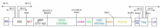 LM-담배(1-6,3-1,5-2,9-9,18-10)의 vector 모식도