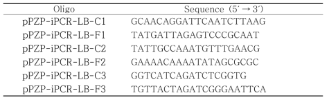 도입유전자 Cassette의 삽입 위치 확인을 위한 primer list
