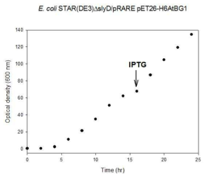 AP 배지에서 유가식 배양을 통한 E. coli STAR(DE3)△ slyD/pET26-H6AtBG1의 세포성장(좌) 및 SDS-PAGE를 통한 K6UbPDGFB의 발현 분석