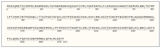 NPT1 단백질의 아미노산 서열