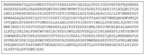 SY 단백질의 아미노산 서열