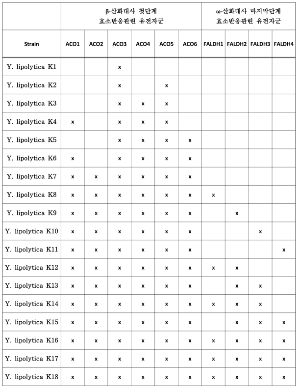 게놈엔지니어링 기술로 개발된 Y. lipolytica 변이주들