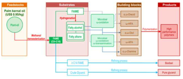 바이오디젤 제조공정 부산물을 이용한 바이오플라스틱용 단량체 생산 전략