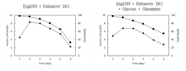 Glucose, Glutamine 첨가 배양배지 분석