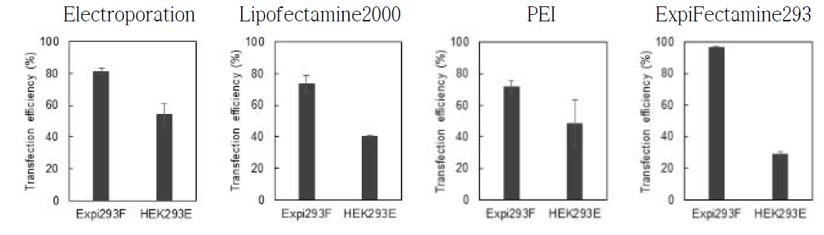 다양한 방법을 통한 HEK293 세포주 transfection 효율