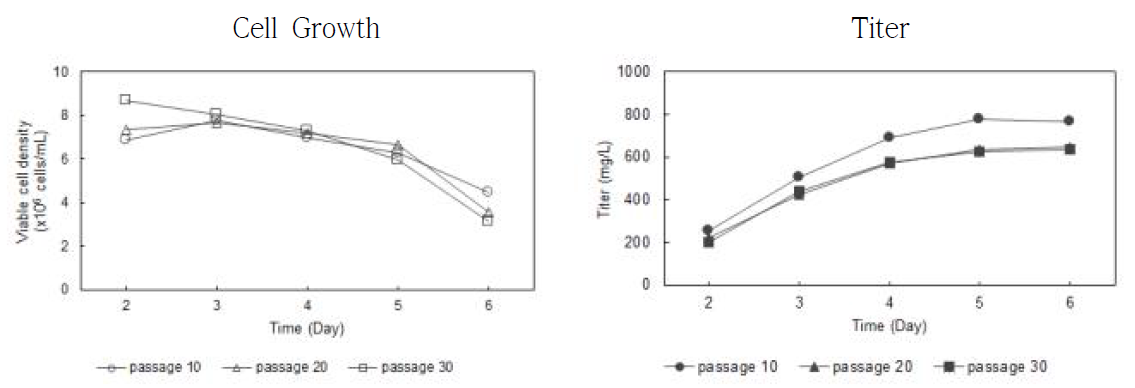 Cell passage에 따른 임시발현 세포성장 및 발현량 비교