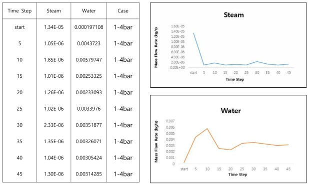 #1 Case - Steam/Water Mass Flow Rate (4bar)