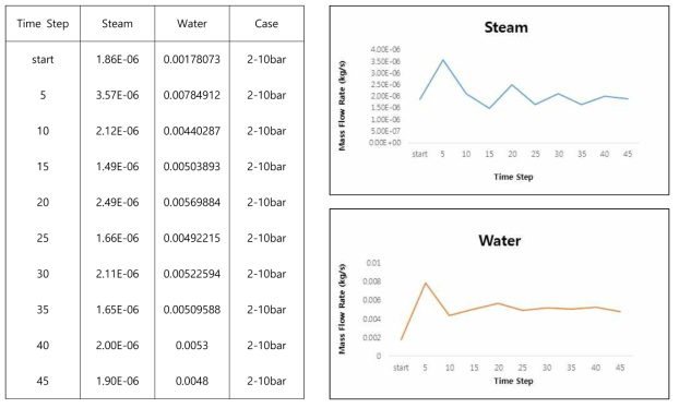 #2 Case - Steam/Water Mass Flow Rate (10bar)