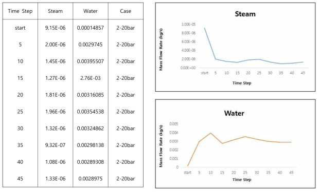 #2 Case - Steam/Water Mass Flow Rate (20bar)