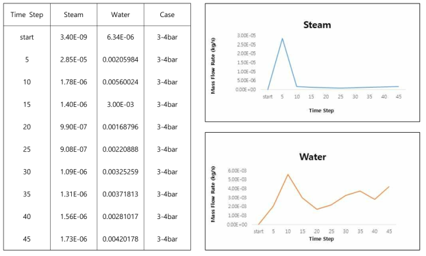 #4 Case - Steam/Water Mass Flow Rate (4bar)