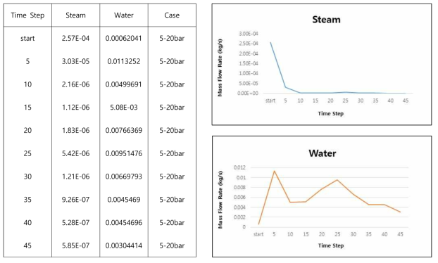 #5 Case - Steam/Water Mass Flow Rate (20bar)