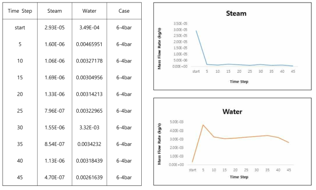 #6 Case - Steam/Water Mass Flow Rate (4bar)