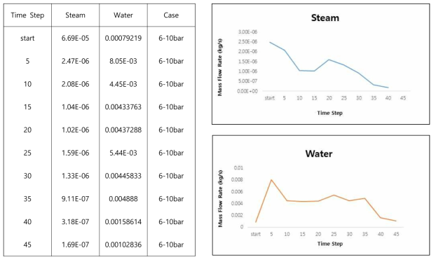 #6 Case - Steam/Water Mass Flow Rate (10bar)