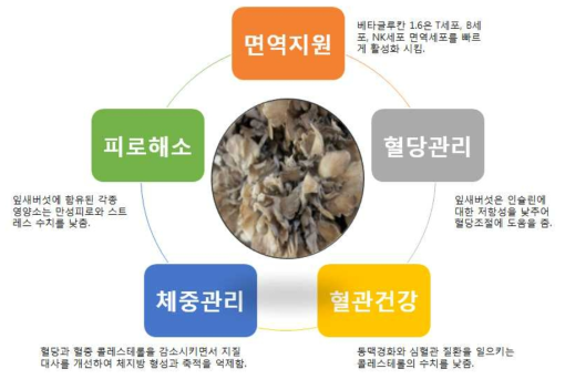 잎새버섯의 5대 효능