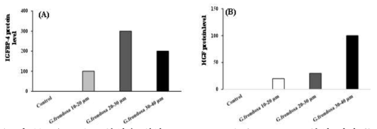 Biomarker 분석을 위한 Human growth factor array 분석 결과 2