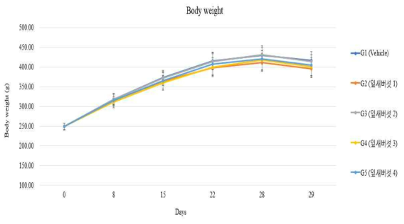 실험기간 동안 SD 쥐의 체중 무게 변화 그래프