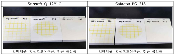 미생물 테스트 4주차 결과