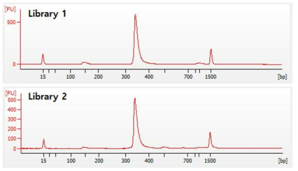 제작된 라이브러리에 대한 QC 결과 예