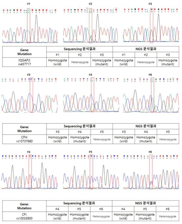 임상샘플의 유전자 타겟에 대한 Sequencing 결과와 NGS 분석 결과 비교 예시