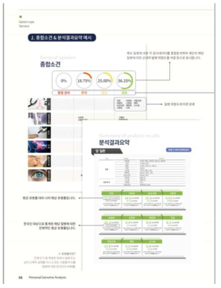 분석결과보고서 예시 (종합소견)