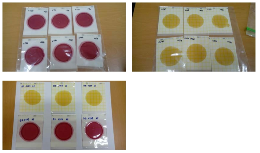 일반총균수, 대장균 및 대장균군에 대한 Petrifilm을 이용한 세균수의 측정