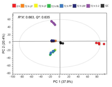 발효과정 동안 토마토 대사산물을 이용한 PCA score plot