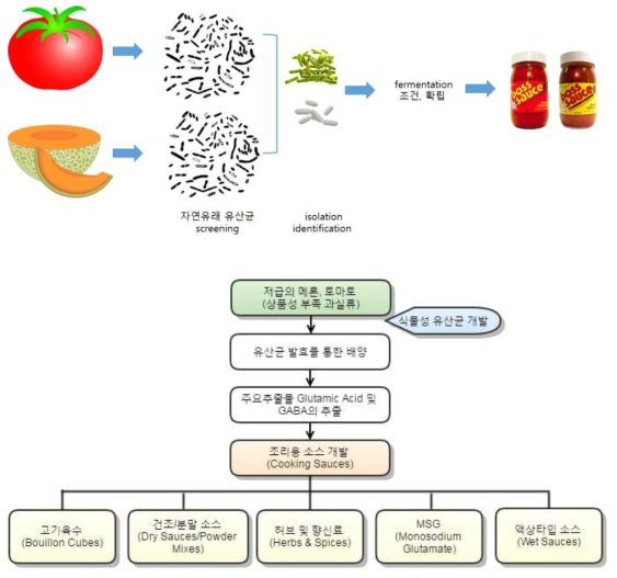 조리용 소스 개발 과정 및 개발될 소스 종류