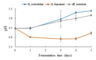 효모를 달리한 토마토 발효액의 pH 변화