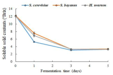 효모 균주에 따른 발효액의 가용성 고형분 함량 변화
