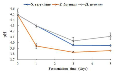 효모 균주에 따른 토마토 발효액의 pH 변화
