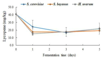 효모 균주에 따른 발효액의 라이코펜 함량 변화