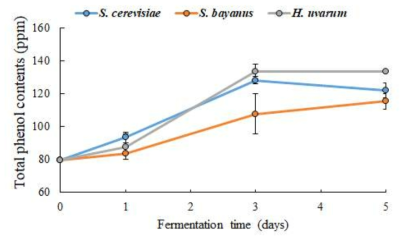 효모 균주에 따른 토마토 발효액의 총 페놀 함량