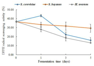 효모 균주에 따른 DPPH 라디컬 소거능 변화