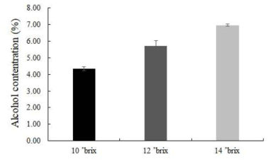 초기 당도에 따른 발효물의 알코올 함량 변화