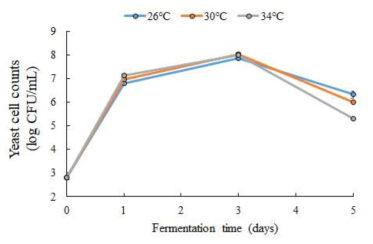 발효 온도에 따른 토마토 발효물의 생균수 변화
