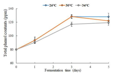 발효 온도에 따른 발효물의 총 페놀 함량 변화