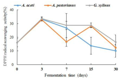 초산 균주에 따른 DPPH 라디컬 소거 활성 측정