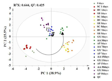 발효 기간에 따른 토마토의 PCA score plot 변화